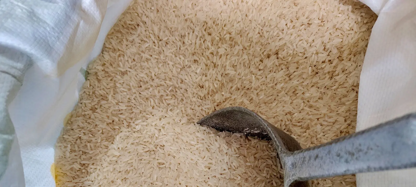 Arroz branco acabado de descascar, com uma pá de metal